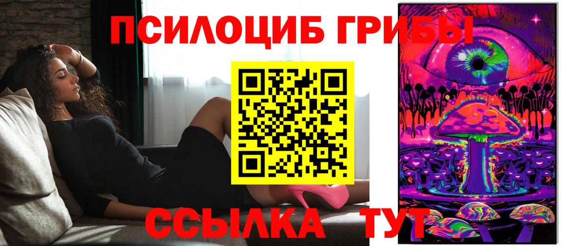 Вичуга  Псилоцибиновые грибы Cubensis  Вход с VPN 